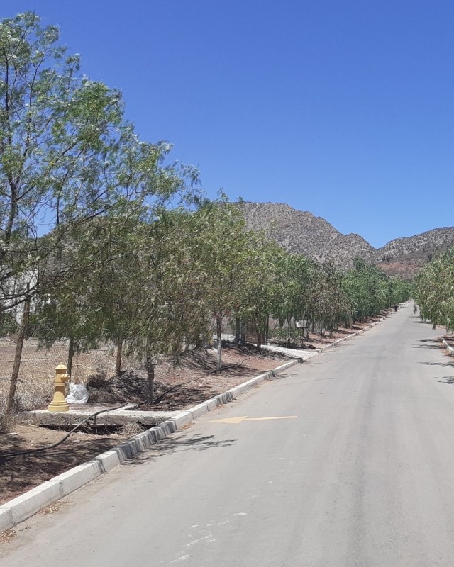 Terreno Ape en Condominio Hacienda Chacabuco