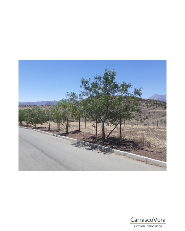 Terreno Ape en Condominio Hacienda Chacabuco