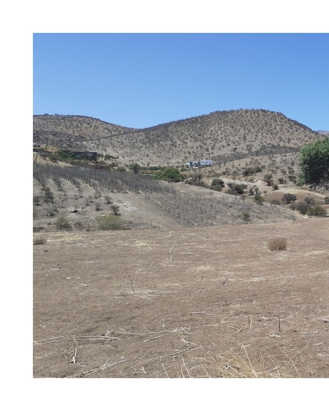 Terreno Ape en Condominio Hacienda Chacabuco