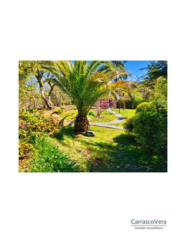 🏡 Se Vende Casa Parcela | Sector Rabones, Colbún 🌿