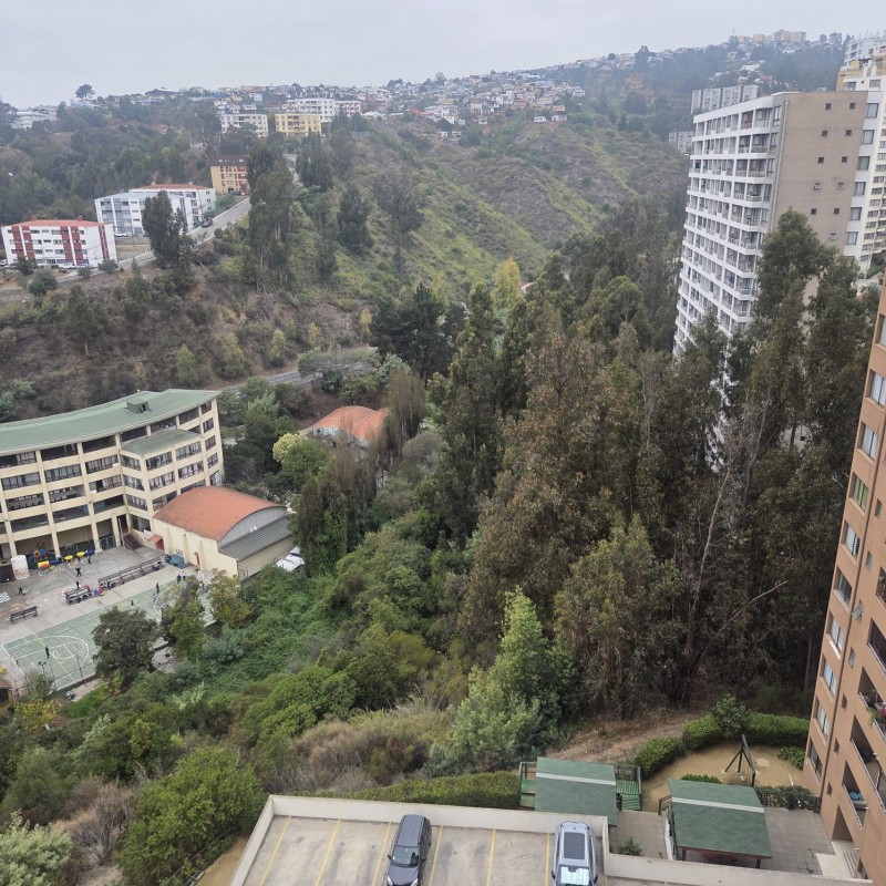 Acogedor Departamento Bosque los Ingleses Valparaíso