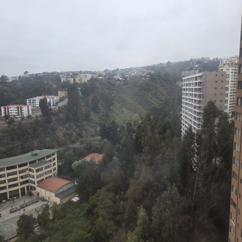 Acogedor Departamento Bosque los Ingleses Valparaíso