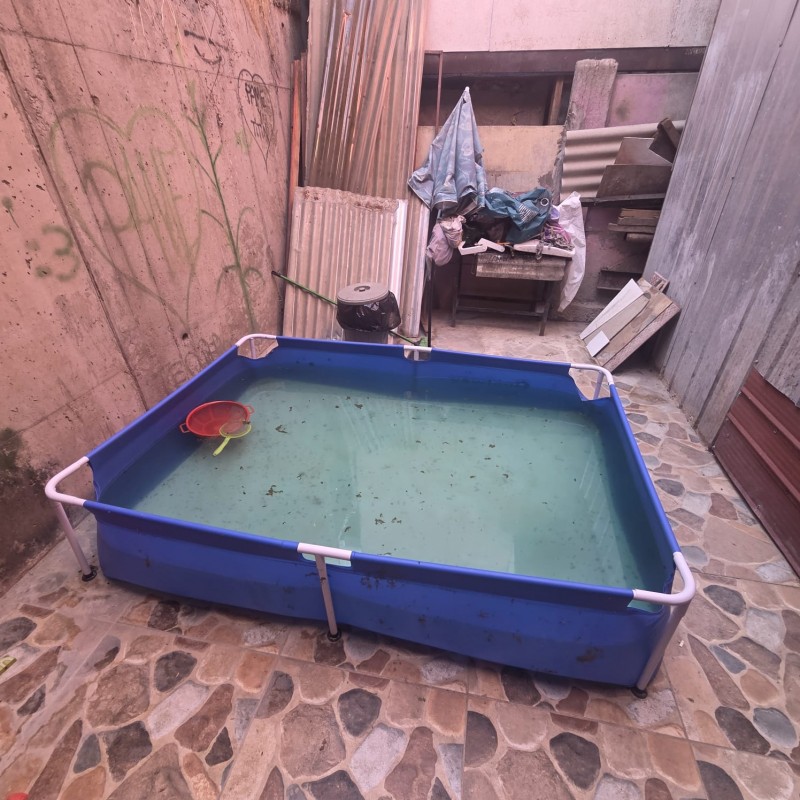 Acogedora Casa Troncos Viejos V. Alemana