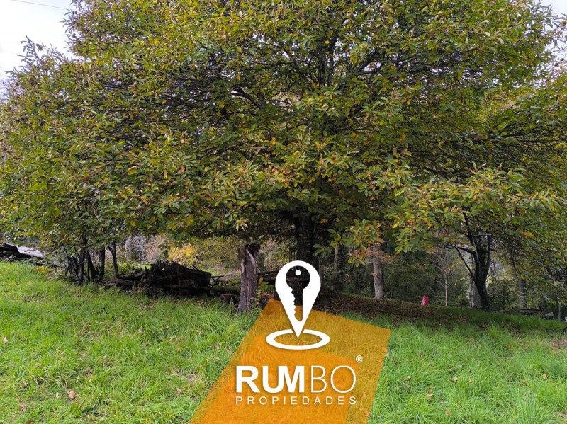 Cabaña en Parcela de 7200M2 Villarrica