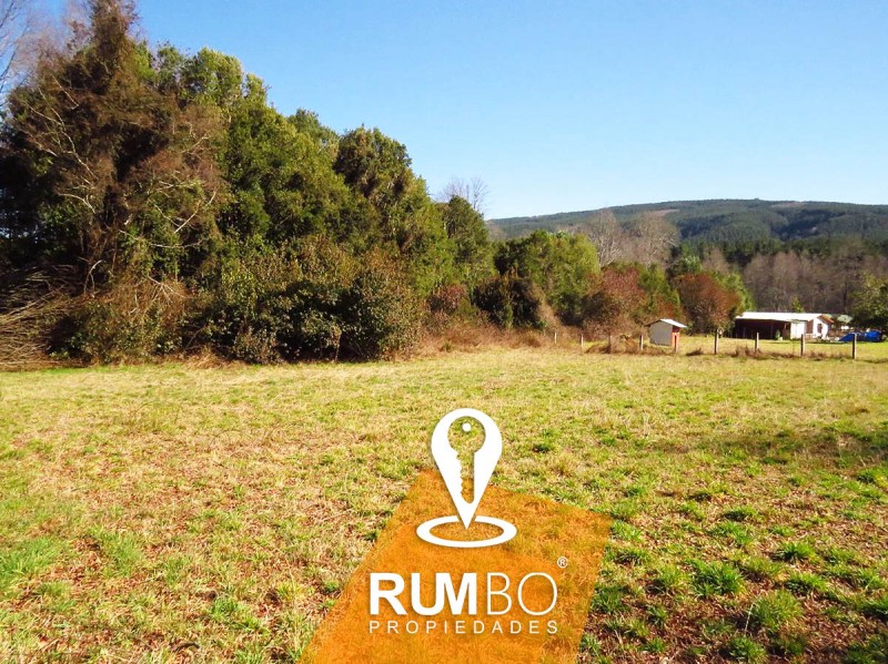 Terreno 8100 M2 Cerca de Villarrica