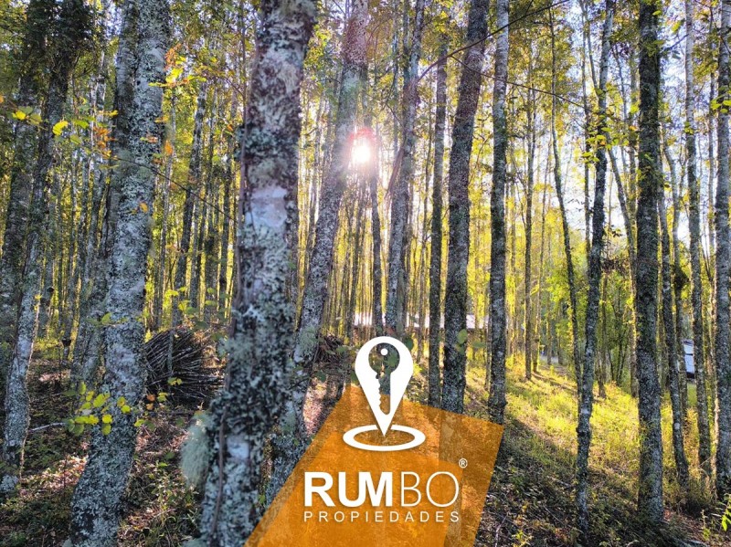 Casa en Parcela en Villarrica