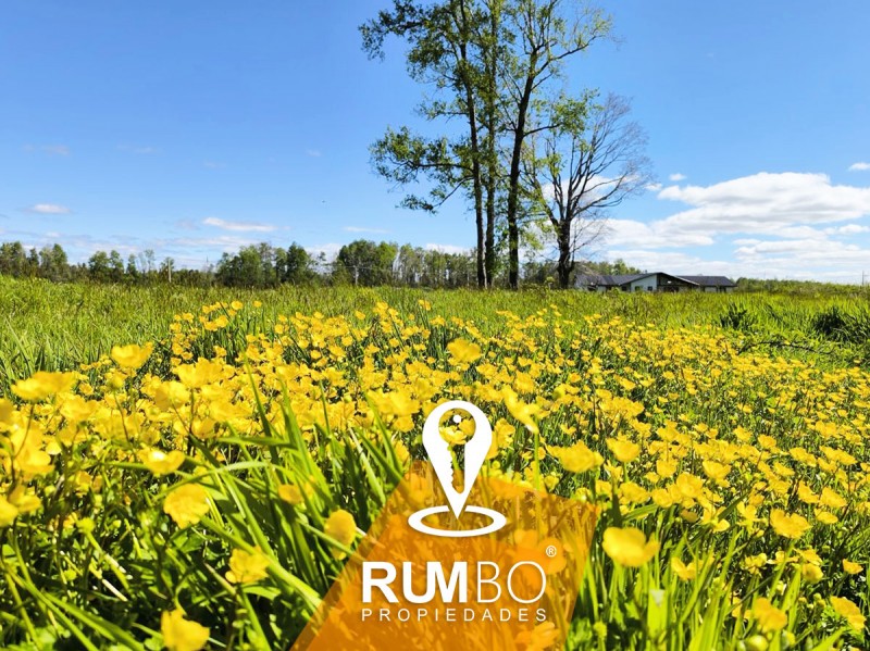 Condominio Vida Nueva - Villarrica