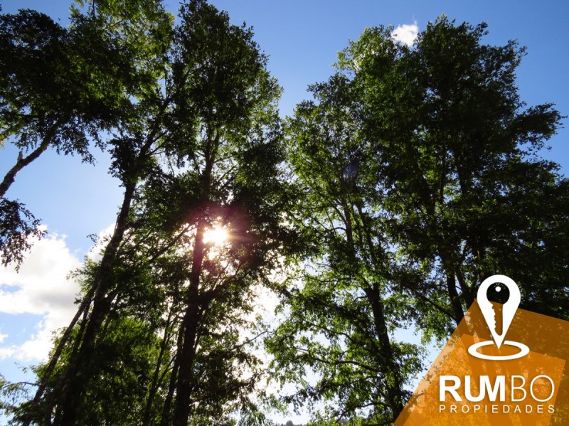 Casa en Parcela Villarrica - Quetroco