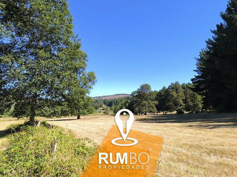 Campo 23 Hectáreas Con 2 Casas