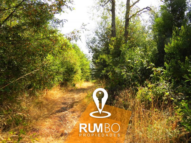 Parcela Urbana en Villarrica