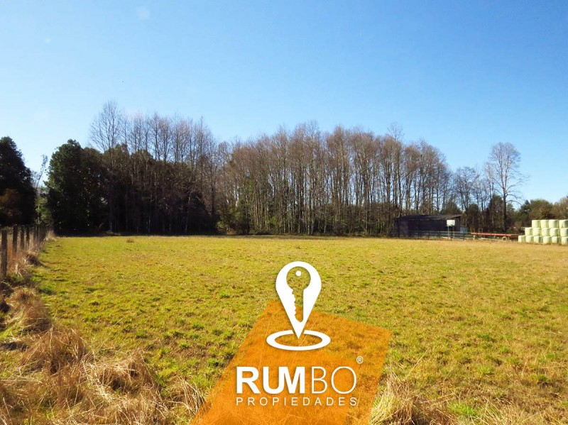 Terreno 8100 M2 Cerca de Villarrica