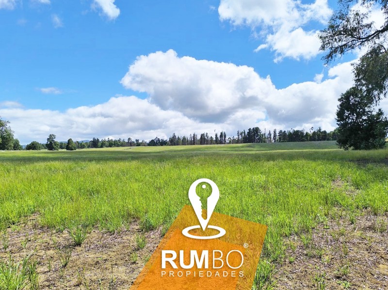 Campo 35 Hectáreas Con Río