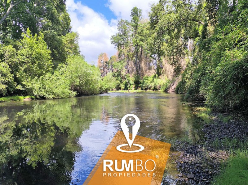 Campo 35 Hectáreas Con Río