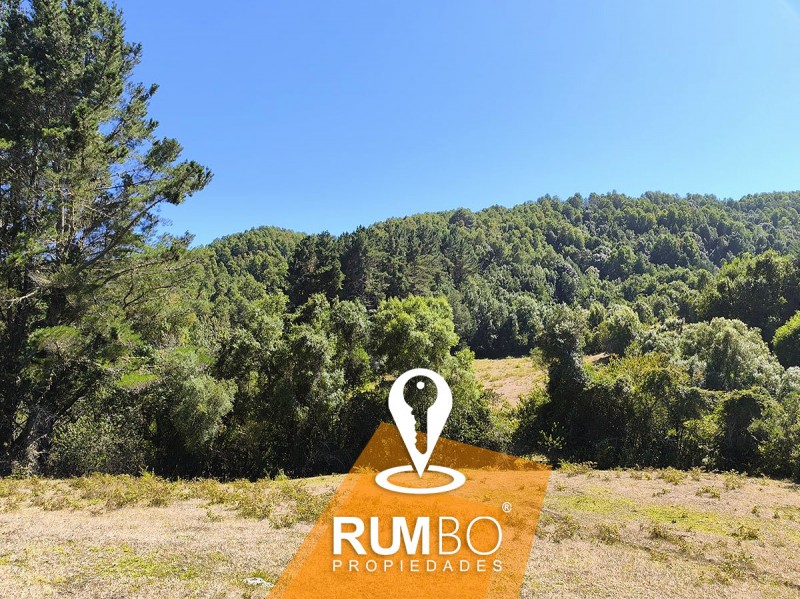 Campo 23 Hectáreas Con 2 Casas