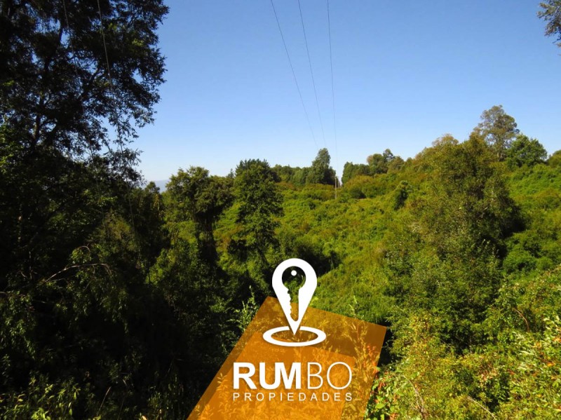 Parcela Urbana en Villarrica