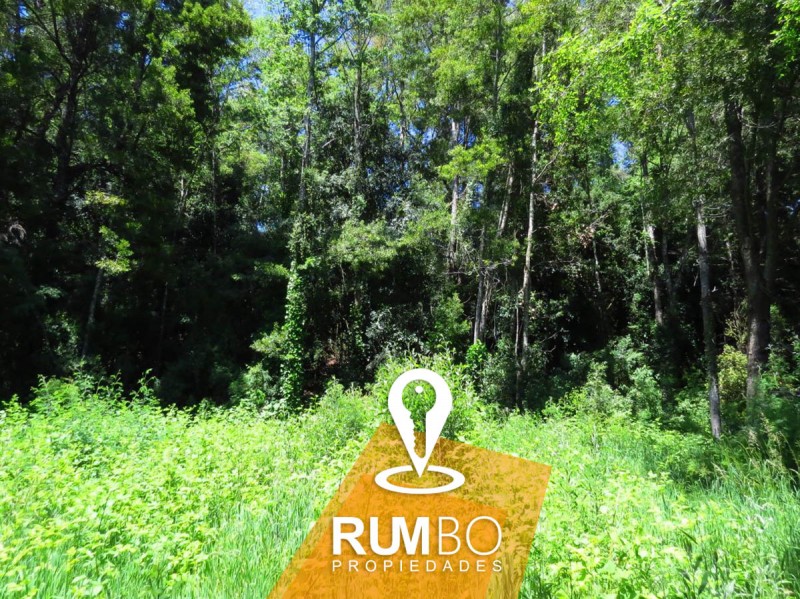 Terreno Frente A 2 Accesos A Playa