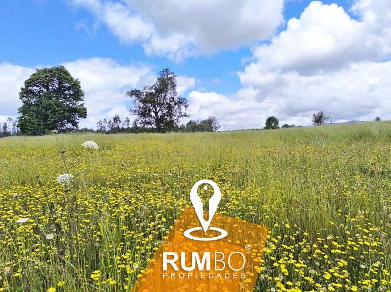 Campo 35 Hectáreas Con Río