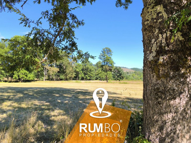 Campo 23 Hectáreas Con 2 Casas
