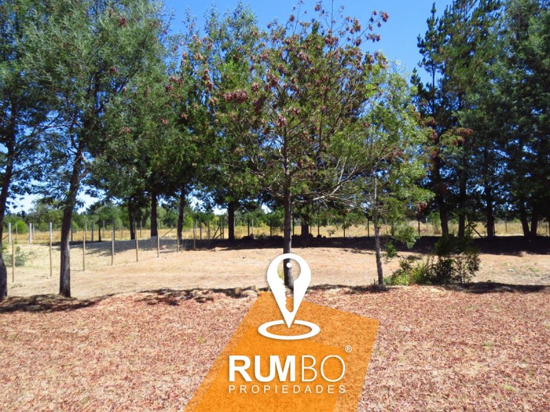 Casa en Parcela Villarrica - Puquereo