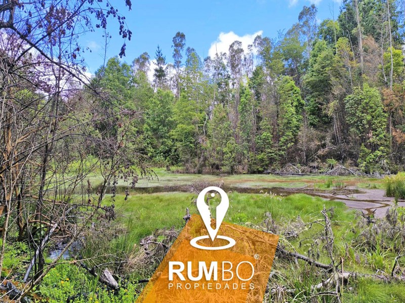 Campo 35 Hectáreas Con Río