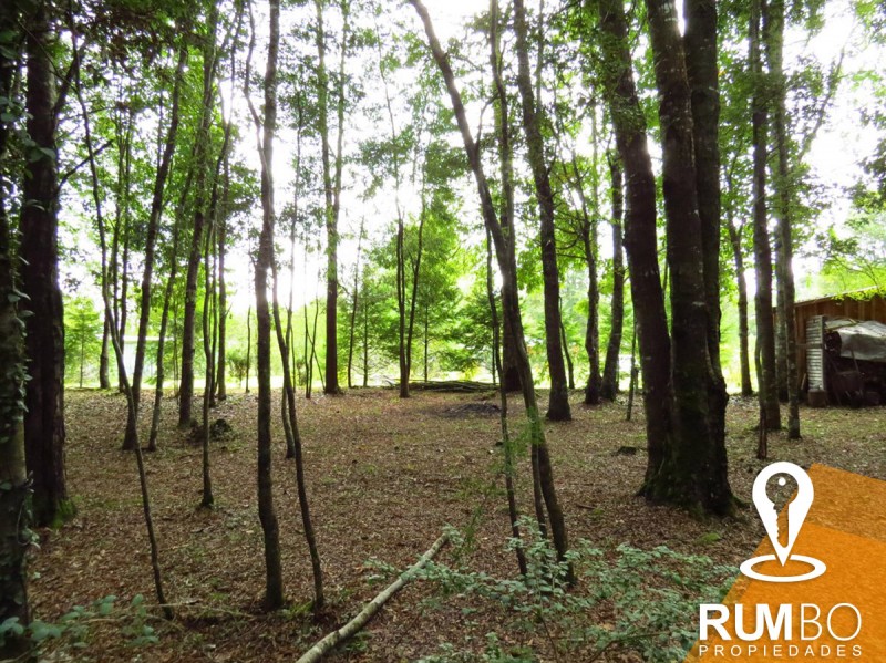 2 Cabañas en Parcela Con Río - Villarrica