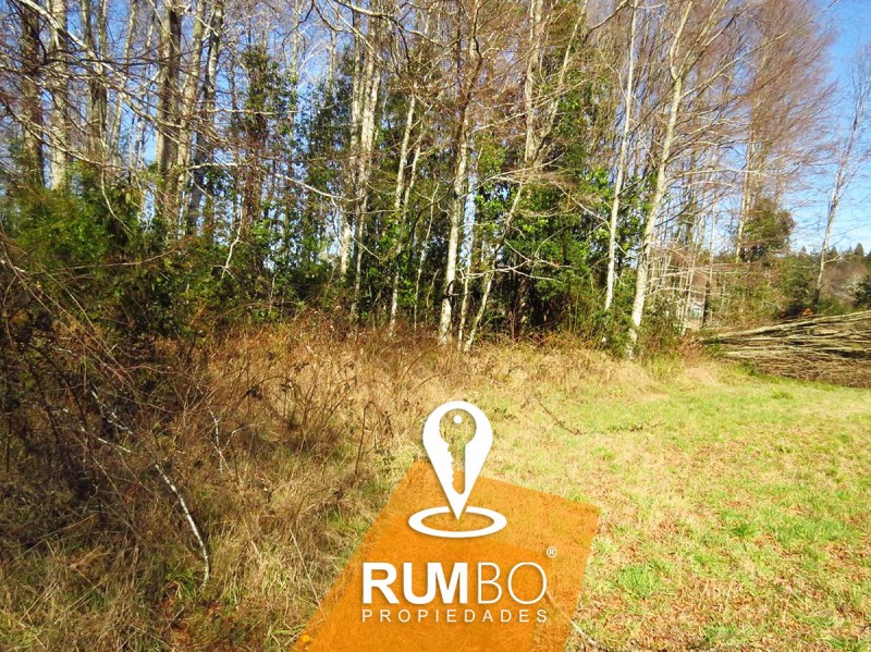 Terreno 8100 M2 Cerca de Villarrica