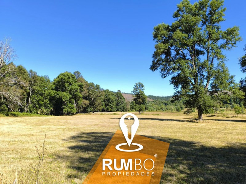 Campo 23 Hectáreas Con 2 Casas
