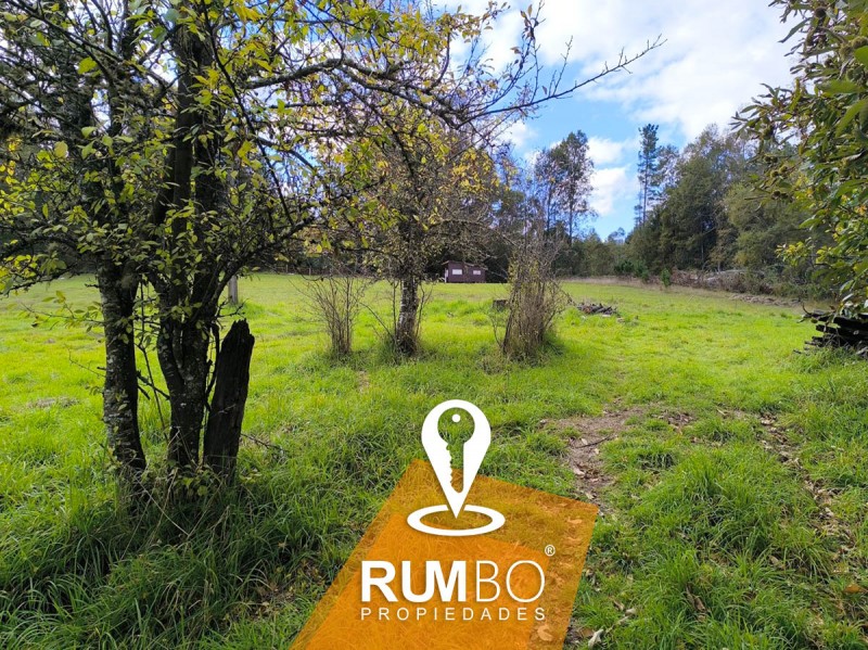 Cabaña en Parcela de 7200M2 Villarrica
