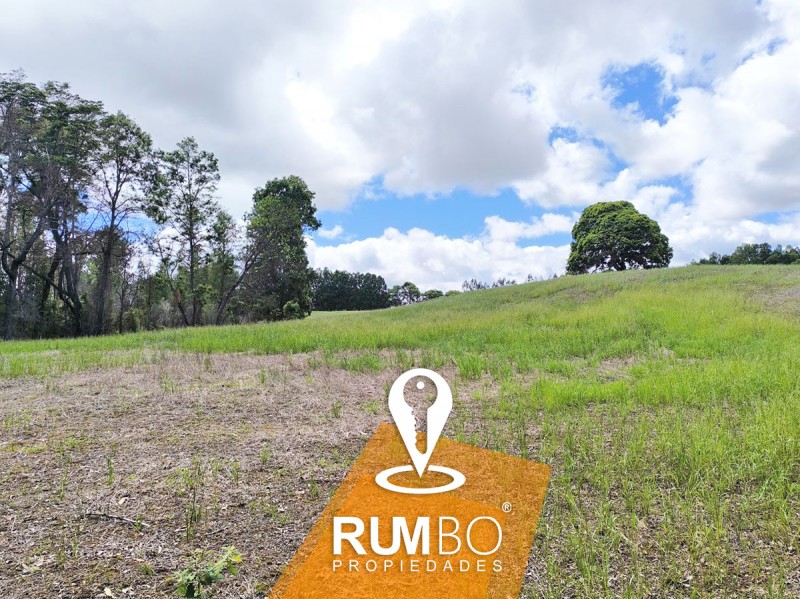 Campo 35 Hectáreas Con Río