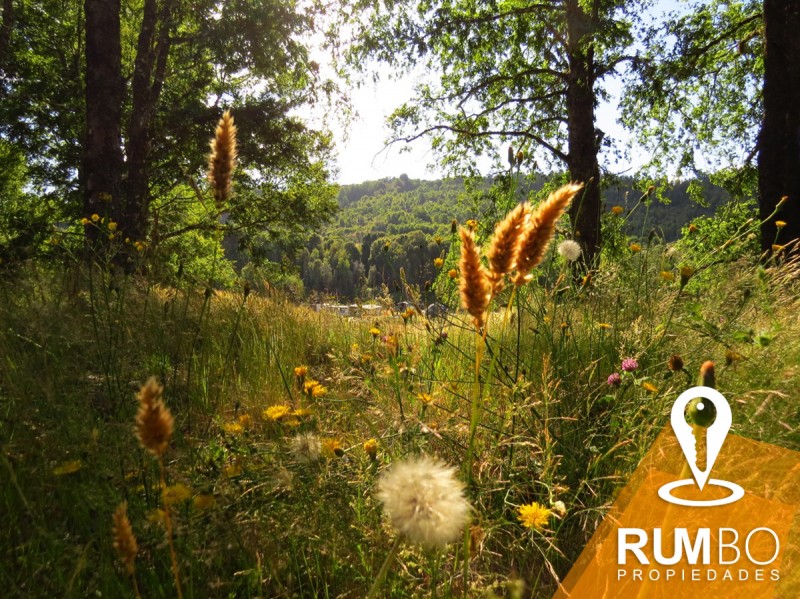 Casa en Parcela Villarrica - Quetroco