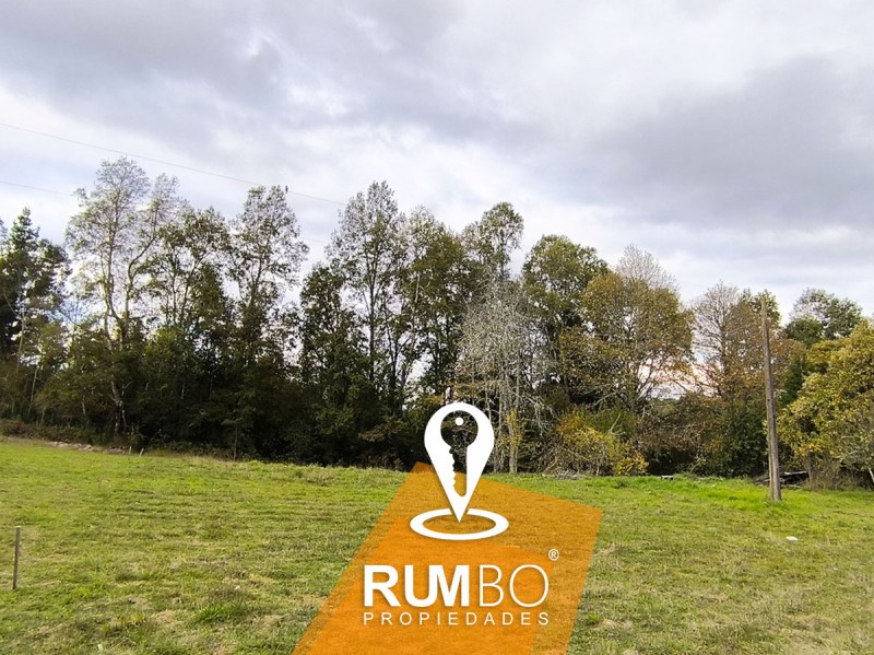 Cabaña en Parcela de 7200M2 Villarrica