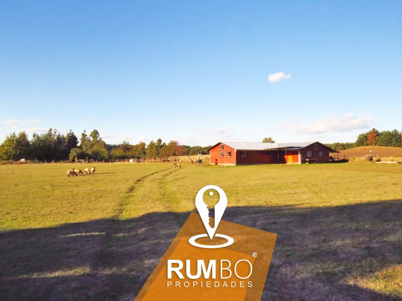 Casa 200M2 en Parcela 8.464M2 - Villarrica