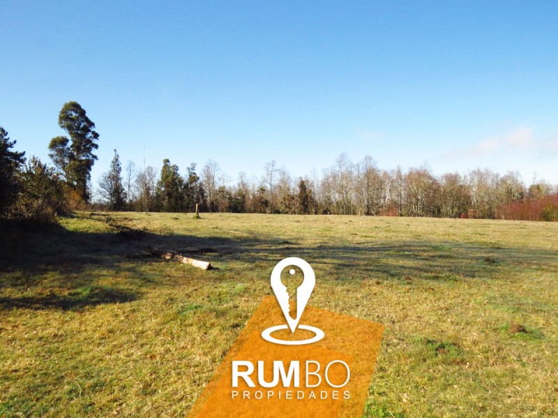 Casa en Campo 10 Hectáreas