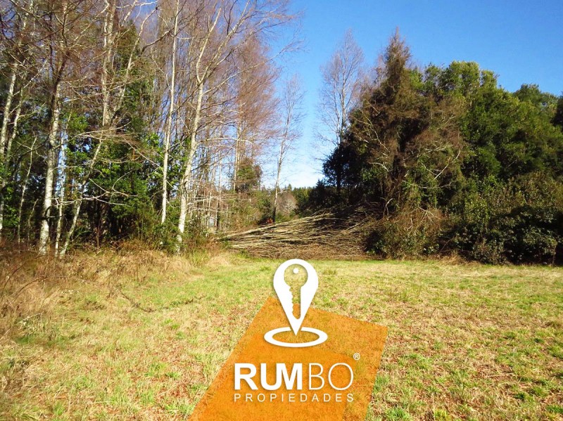 Terreno 8100 M2 Cerca de Villarrica