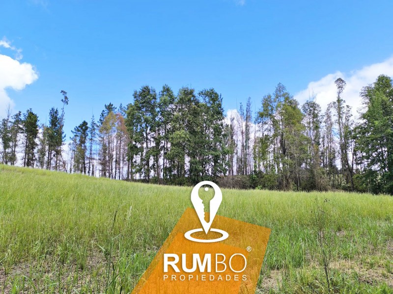 Campo 35 Hectáreas Con Río