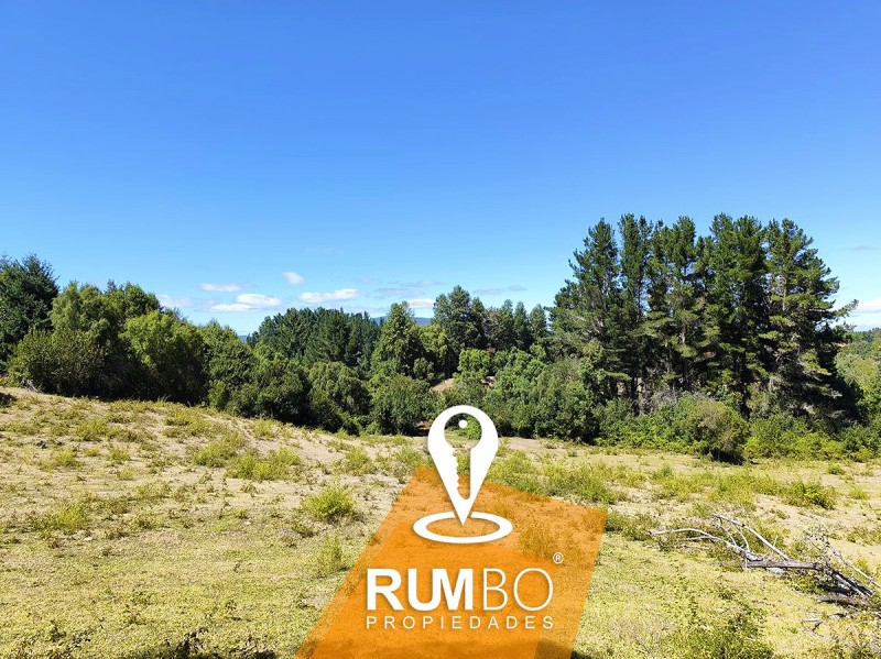 Campo 23 Hectáreas Con 2 Casas