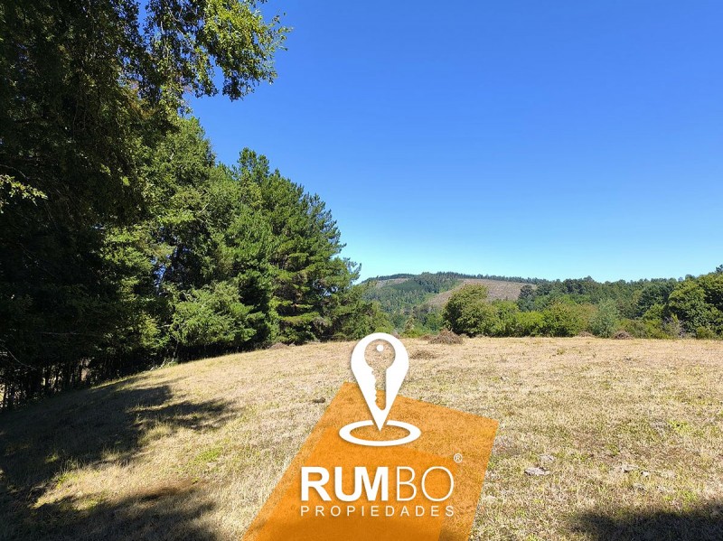 Campo 23 Hectáreas Con 2 Casas