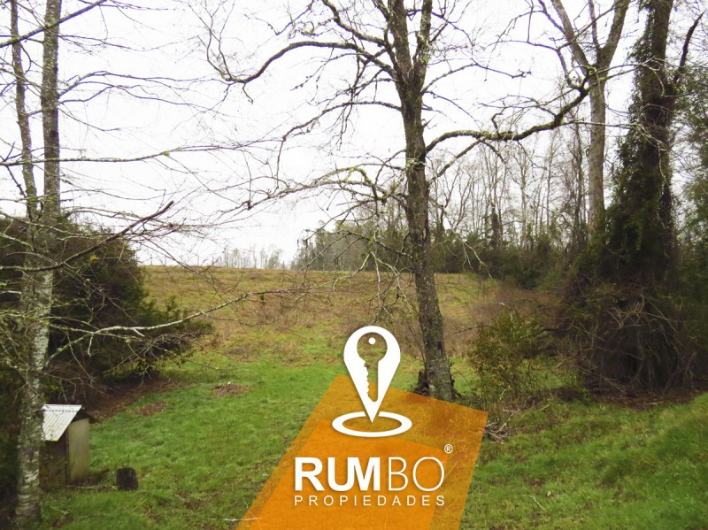 Cabaña Equipada en Parcela