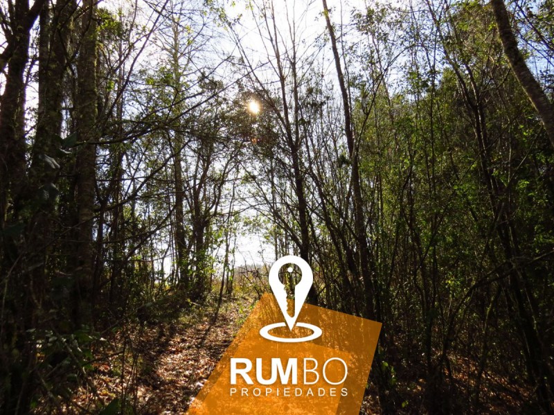 Casa en Campo 10 Hectáreas