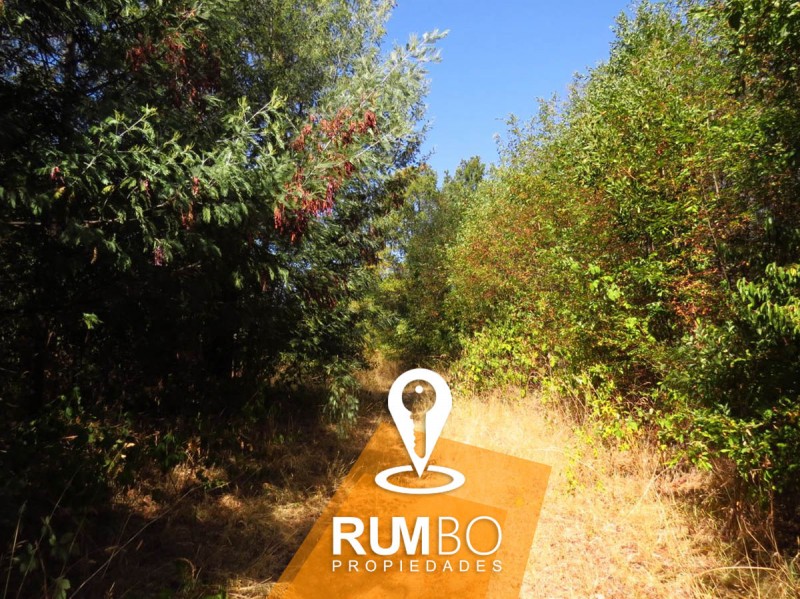 Parcela Urbana en Villarrica