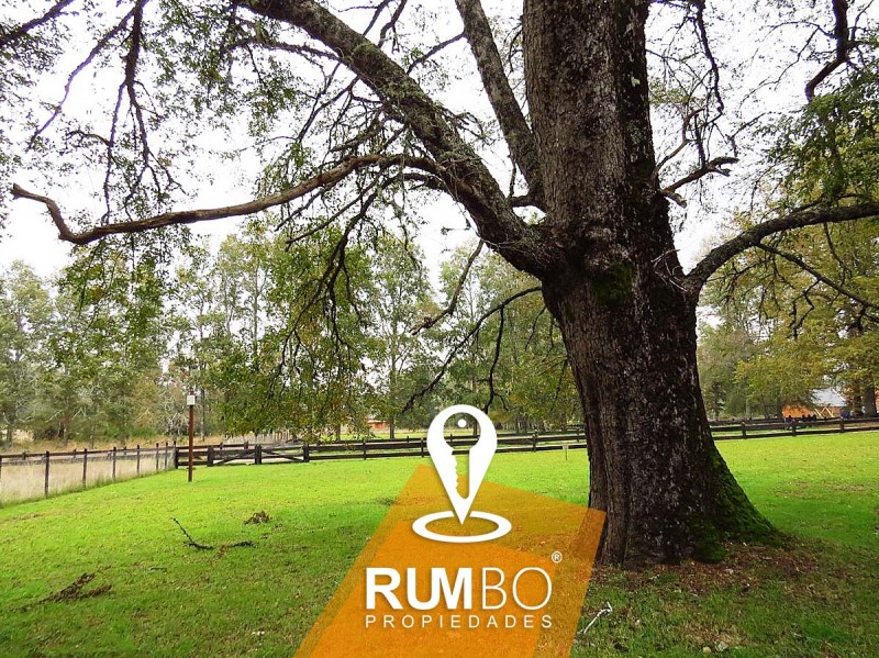 Casa en Parcela Villarrica A Loncoche