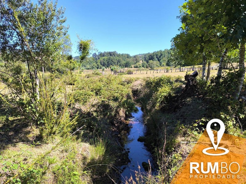 Campo 23 Hectáreas Con 2 Casas