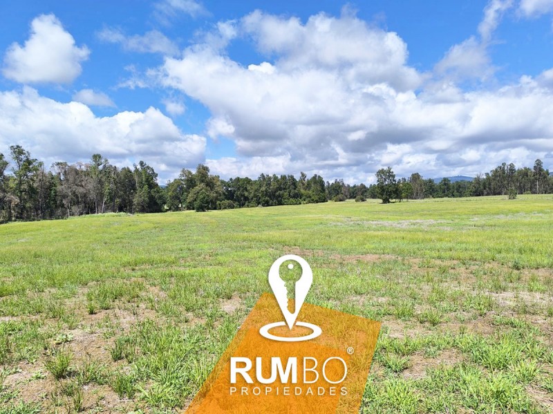 Campo 35 Hectáreas Con Río