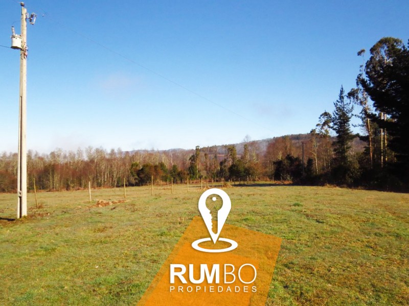 Casa en Campo 10 Hectáreas