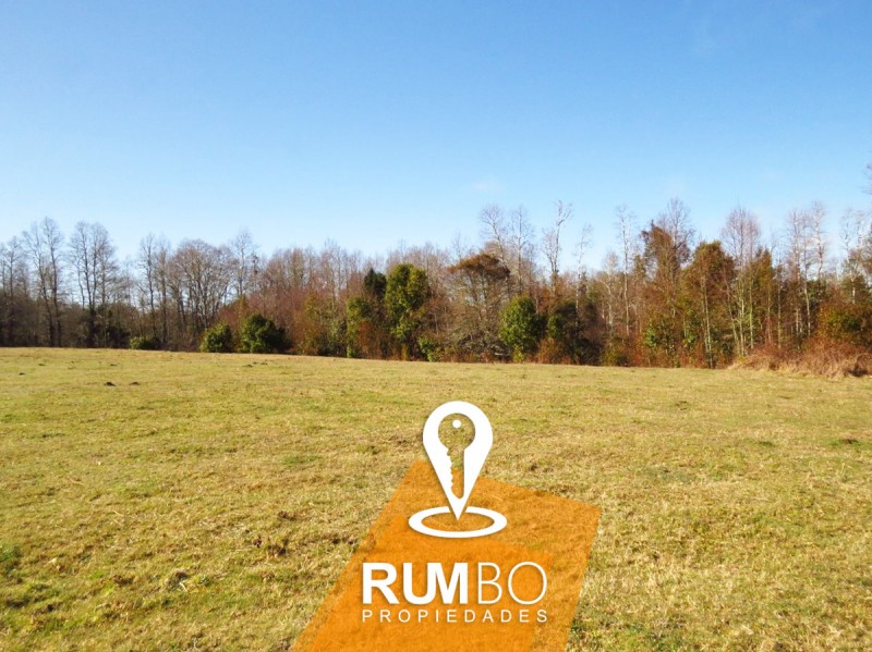 Casa en Campo 10 Hectáreas