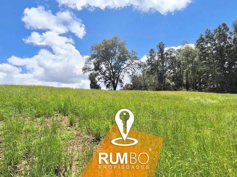 Campo 35 Hectáreas Con Río