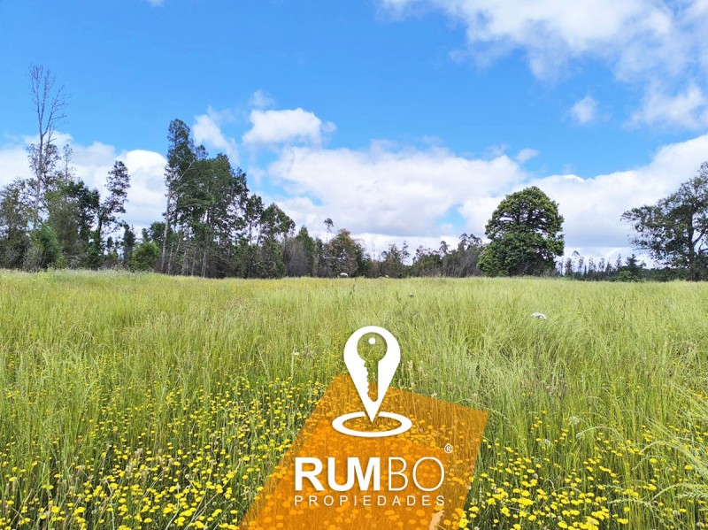 Campo 35 Hectáreas Con Río