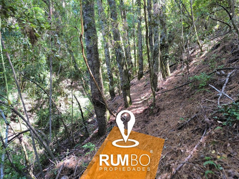 Campo 23 Hectáreas Con 2 Casas