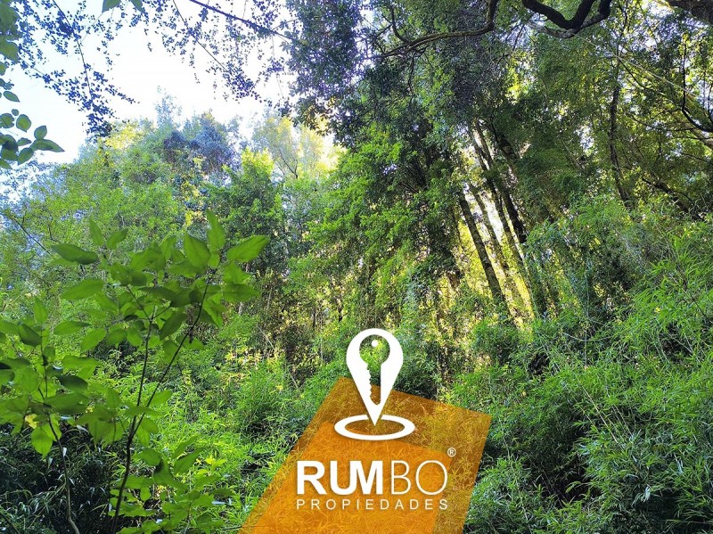 Campo 23 Hectáreas Con 2 Casas