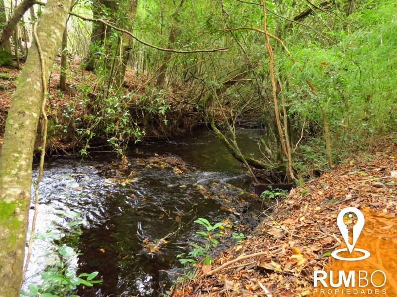 2 Cabañas en Parcela Con Río - Villarrica